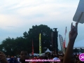 Crowd checking out live performances at Grace Jamaican Jerk Festival 2015