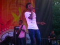 Romain Virgo performing live at Grace Jamaican Jerk Festival 2015
