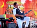 Guitarist playing with Maxi Priest at The 4th Annual Grace Jamaican Jerk Festival in New York City