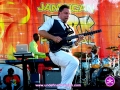 Guitarist playing with Maxi Priest at The 4th Annual Grace Jamaican Jerk Festival in New York City
